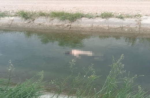 Adana'da sulama kanalında yüzen kişi can verdi! Cesedi kilometrelerce uzaklıkta bulundu