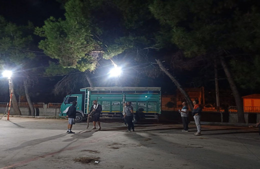 Okul bahçesinde ilginç dakikalar! Topu almak için çıktığı çam ağacında mahsur kaldı