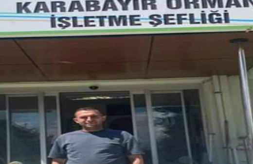 Domuz avında çalıların arasındaki gençleri göğsünden vurdu!