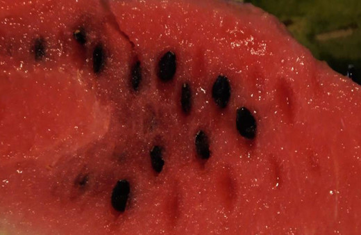 Kapuzun çekirdeğinin faydasını duyunca ayırıp çöpe atmayacaksınız!