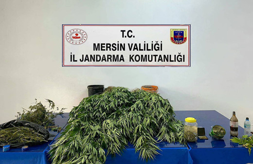 Mersin'de dev uyuşturucu operasyonu! 5 kilo 620 gram esrar ile 578 kök Hint keneviri ele geçirildi