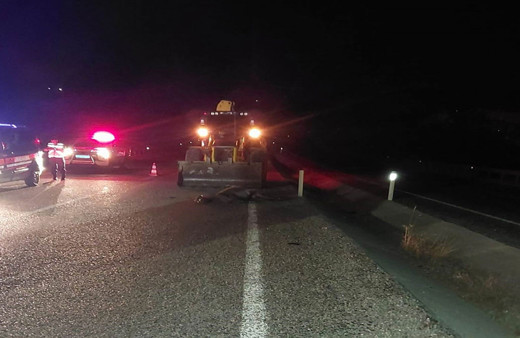 Trafiğe çıkan eşek faciaya yol açtı! Otomobil eşeğe çarptı