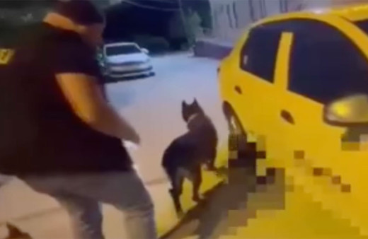 İzmir'de uyuşturucu tacirleri narkotik köpeklerine takıldı! Zulalanmış uyuşturucular böyle yakalandı