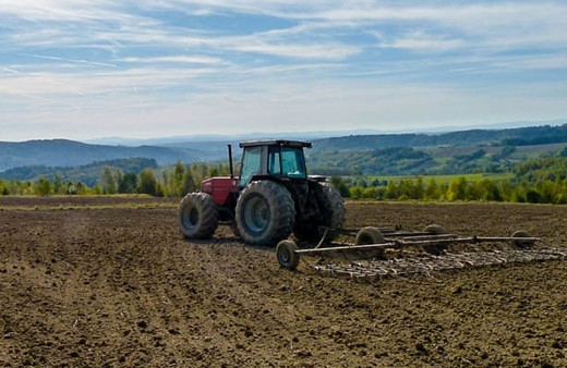 Polonya'da Ukrayna tahılı korkusu: Daha mısırları bile toplayamadık