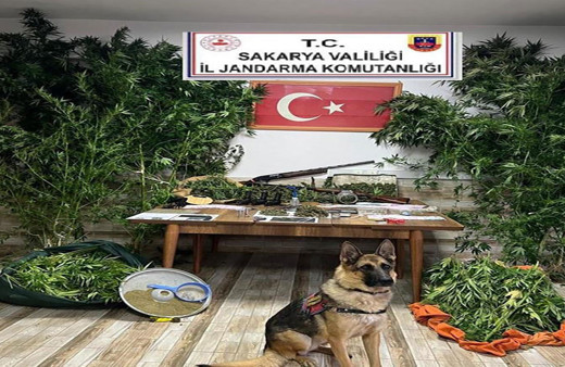 Sakarya'da uyuşturucu operasyonu!  6 kişi gözaltına alındı