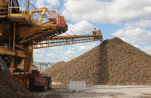Amasya Şeker Fabrikası'nda 70. pancar alım kampanyası başladı