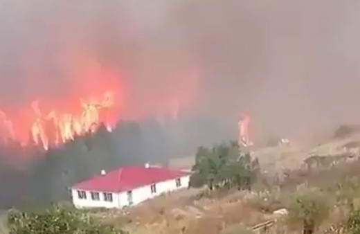 Dört şehirde birden orman yangını çıktı! Bolu, Ankara, İzmir ve Adana'daki yangınlar büyüyor