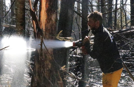 Bolu-Ankara sınırında çıkan orman yangını kontrol altında!