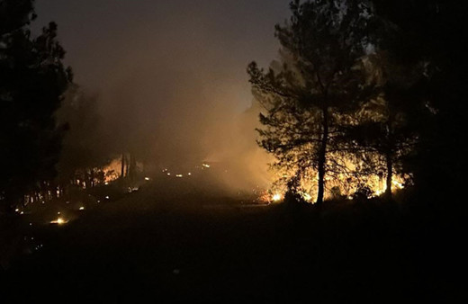 İzmir'de orman yangını çıktı! Helikopter ve uçaklar havadan ekipler yerden müdahale ediyor