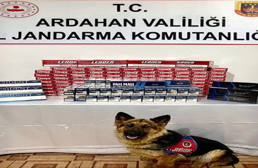 Ardahan'da Jandarma'dan kaçak sigara operasyonu!