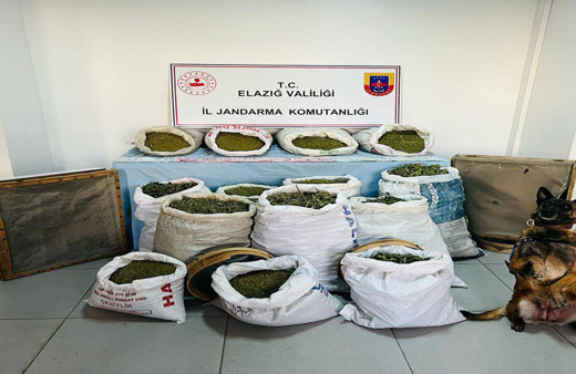 Jandarma'dan büyük uyuşturucu operasyonu! 241 kilogram esrar, 1230 kök Hint keneviri ele geçirildi