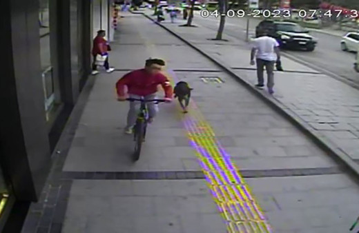 Sakarya'da sokak köpekleri dehşet saçtı! Köpeğin kovaladığı bisikletli yayaya çarptı