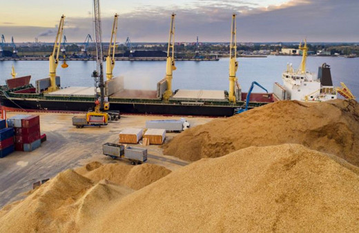 Ukrayna tahılı AB'li çiftçilerin kabusu oldu 3 ülkeden peş peşe tedbirler geldi