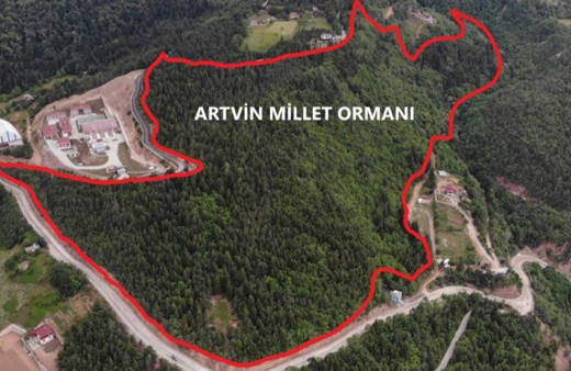 Artvin’de 10 Hektarlık alanda Millet Ormanı oluşturulacak