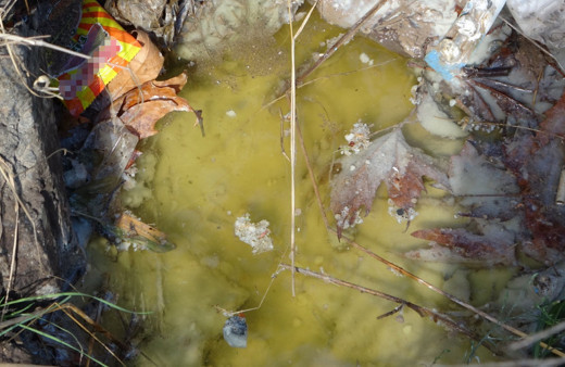 İstanbul Sultanbeyli’de sokağa dökülen maddeden yayılan koku paniğe neden oldu