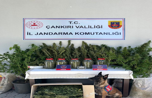 Çankırı'da Jandarmadan uyuşturucu operasyonu!