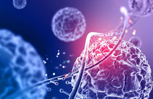 Bilim dünyasında çığır açıcı bir ilk! 130 yıl önce nesli tükenmişti