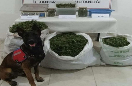 Kırklareli’nde 22 kilo esrar ve 120 bin makaron ele geçirildi!