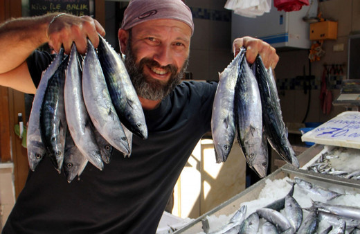 Sinop'ta palamut bereketi yüzleri güldürdü