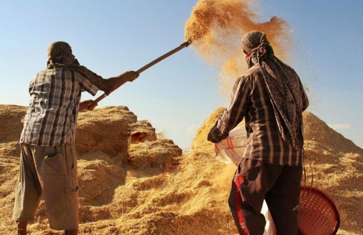 Çiftçinin maliyeti arttı! Tarımsal girdi fiyat endeksi yıllık yüzde 34,32 arttı!