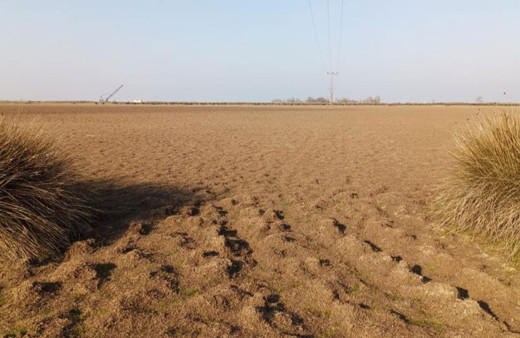 Arap ülkelerindeki tarım alanları "yok olma" tehlikesiyle karşı karşıya!