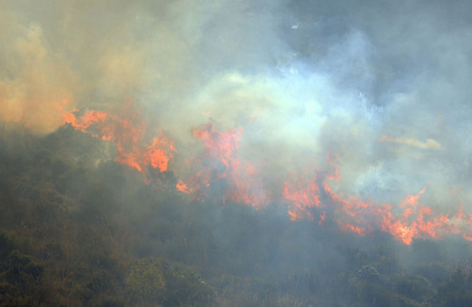 Sicilya'da orman yangınları yerleşim yerlerini tehdit ediyor!