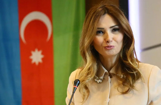 Azerbaycanlı Milletvekili Paşayeva komaya girdi