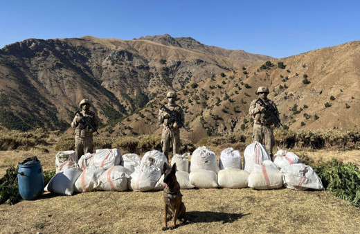 Bingöl'de 529 kilo 600 gram esrar ve 3 milyon 158 bin kök kenevir ele geçirildi!
