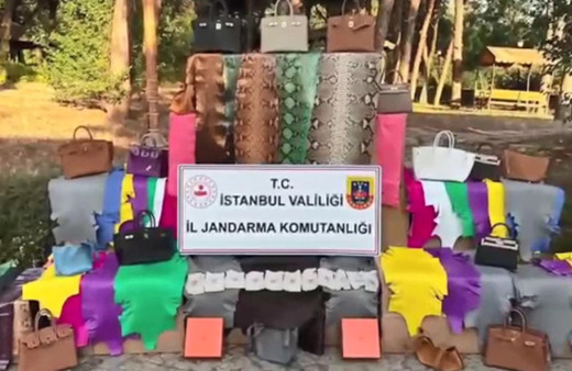 İstanbul'da kaçak imalathaneye baskın: Timsah, deve kuşu, yılan derileri ele geçirildi