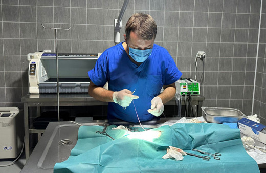 Kediyi acil ameliyata aldılar! Midesinde saç tokası olduğu belirlendi!