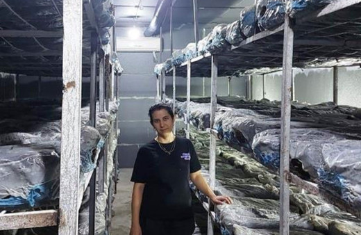 Kütahya'da girişimci kadın kültür mantarı üretim tesisi kurdu!