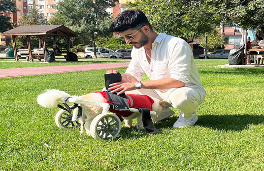 Felç kalan köpeğini emanet bildi, inançsızken Müslüman oldu!