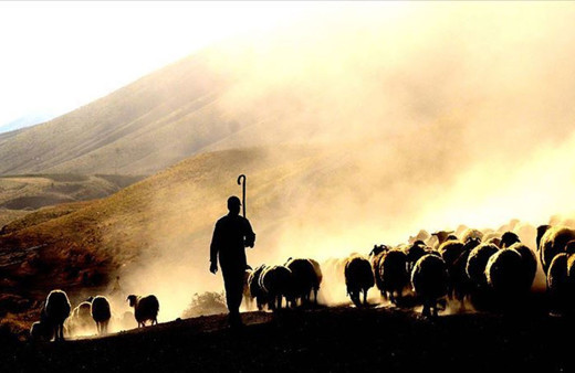 Kaybolan kardeşler bakın nerede bulundu
