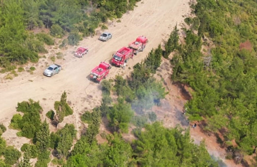 Çanakkale'de 6 noktada orman yangını çıktı!
