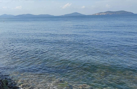 Tanımadığı kişiyi sahilde otururken denize attı! Son sözünde bakın ne dedi