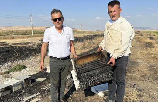 Kahramanmaraş'ta 150 arı kovanı yandı, arılar telef oldu!