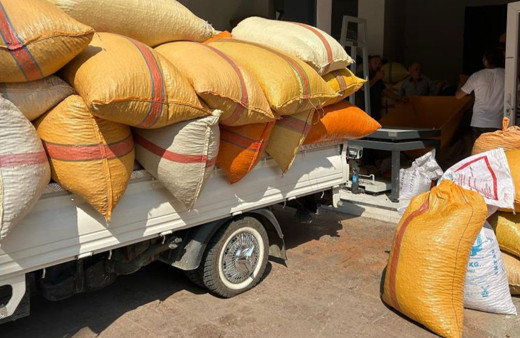 Fındık üreticileri fiyatların yükselmesini bekliyor!