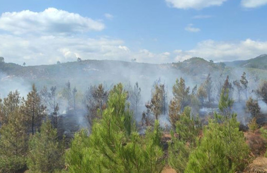 Kazdağları’nda çıkan orman yangını söndürüldü!