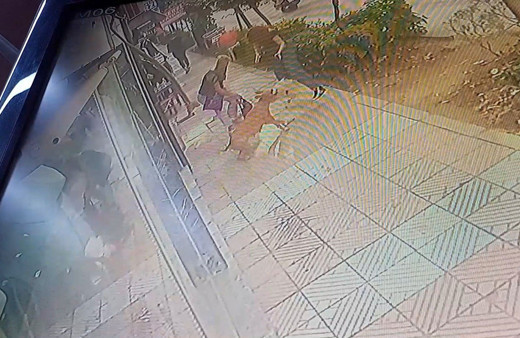 Manisa'da başıboş pitbull dehşet saçtı! Anne ve kızına saldırdı