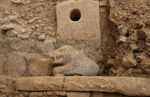 Göbeklitepe'de bulunan yaban domuzu heykeli görüntülendi