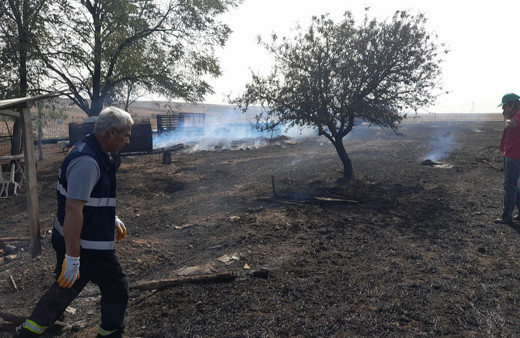 Edirne'de anız yangını: 500 dönüm tarım arazisi ve 3 ahır zarar gördü!