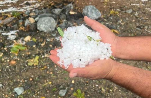 Kilis'te dolu yağışı zeytin ağaçlarına zarar verdi!