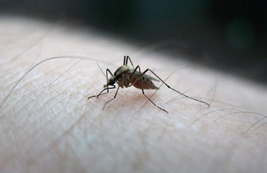 Komşuda virüs paniği 19 kişi öldü! Uzmanlardan 'vakalar artabilir' uyarısı