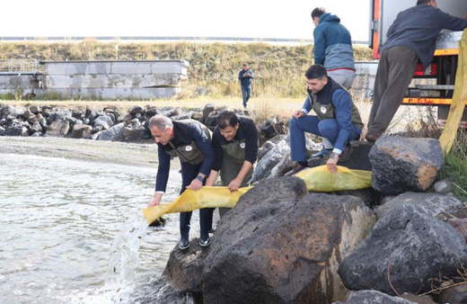 Kars’ta göllere 520 bin yavru balık bırakıldı!