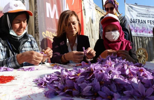 7. Safran Festivali 13-15 Ekim'de yapılacak