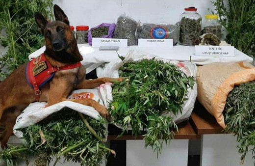 Trabzon'da uyuşturucu operasyonu: 41 kilogram esrar ele geçirildi, 5 şüpheli yakalandı!