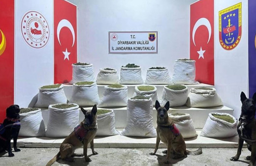 Diyarbakır’da 2 milyon 64 bin kök kenevir ve skunk ile 812 kilo esrar ele geçirildi!