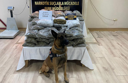 Osmaniye'de bir tırda 45 kilo 750 gram esrar ele geçirildi!