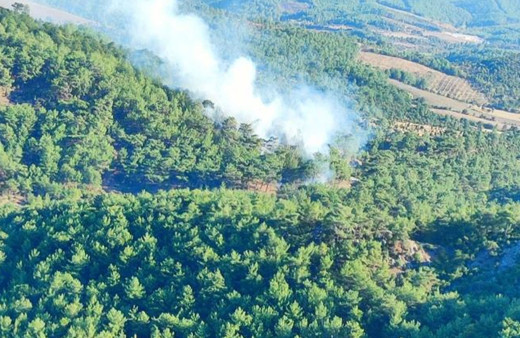 Çanakkale’de orman yangını çıktı!