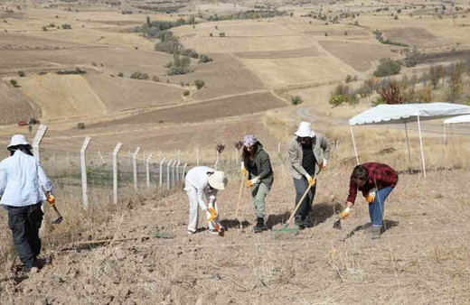Ankara Savaşı'ndan kalma toplu mezar keşfedildi